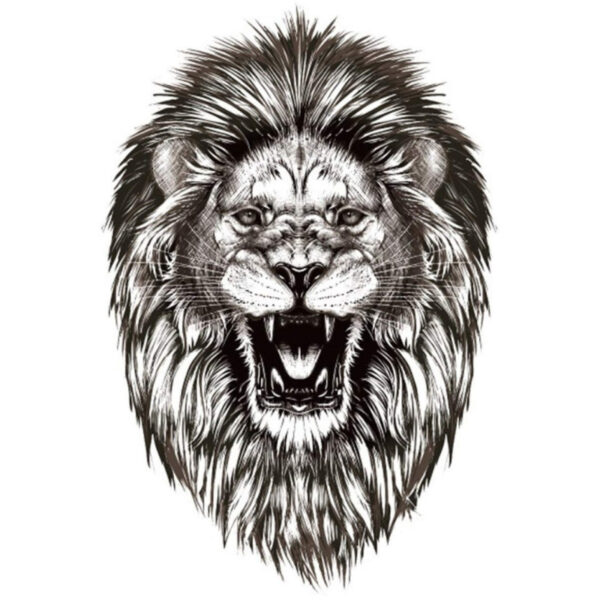 tatouage temporaire maroc lion