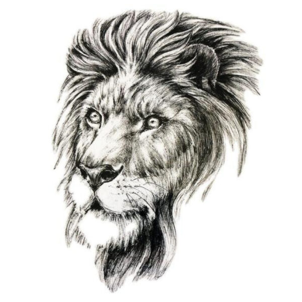 tatouage lion Maroc