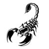 Tatouage Temporaire, semi-permanent scorpion