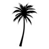 Tatouage Temporaire, semi-permanent palmier, palm tree