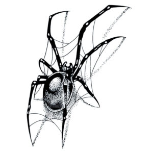 Tatouage Temporaire, semi-permanent araignée
