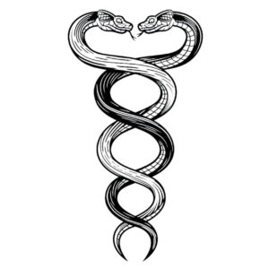 Tatouage temporaire semi-permanent tattoo snake, serpent, maroc