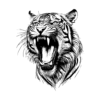 Tigers wrath tattoozap tatouage tattoo semi-permanent maroc tigre