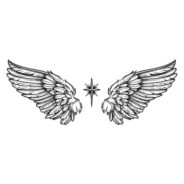 WINGS OF DESTINY TATTOOZAP tatouage tattoo semi-permanent maroc