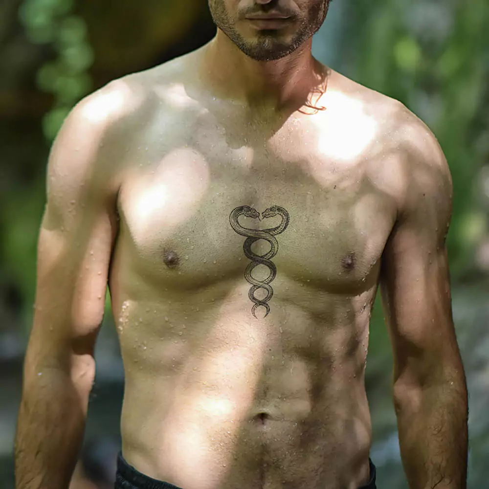 CADUCEUS – Image 2