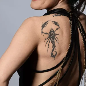 Alternative view of GRAPHIC SCORPION