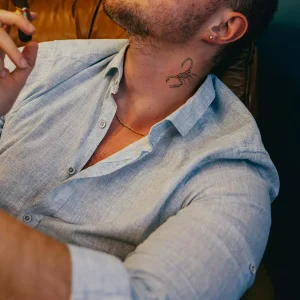 Alternative view of THE LIGHTER SET