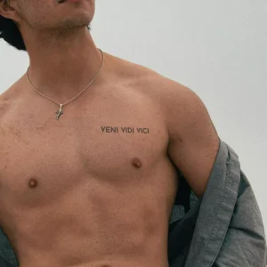 Alternative view of Veni Vidi Vici