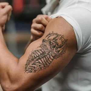 Alternative view of ANUBIS