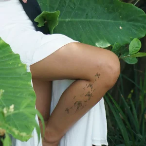 Alternative view of ENCHANTED BUTTERFLIES