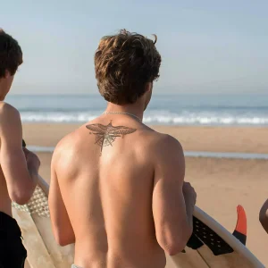 Alternative view of NAVIGATOR