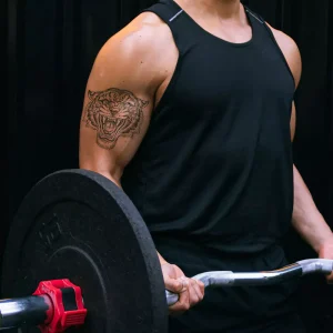 Alternative view of TIGER ROAR