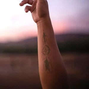 Alternative view of TWIN COMPASS x2