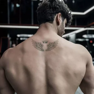 Alternative view of WINGS OF HEAVEN SET