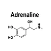 Adrenaline