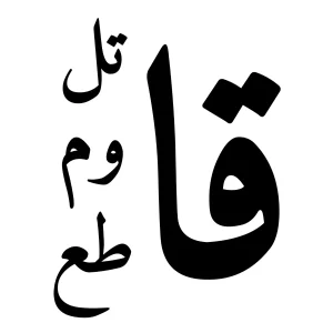 TattooZap صوت الحق tattoo semi permanent maroc